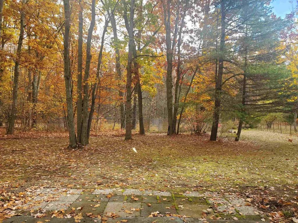 7323 Karlin Road Grant Township MI 49643