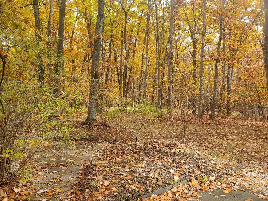 7323 Karlin Road Grant Township MI 49643
