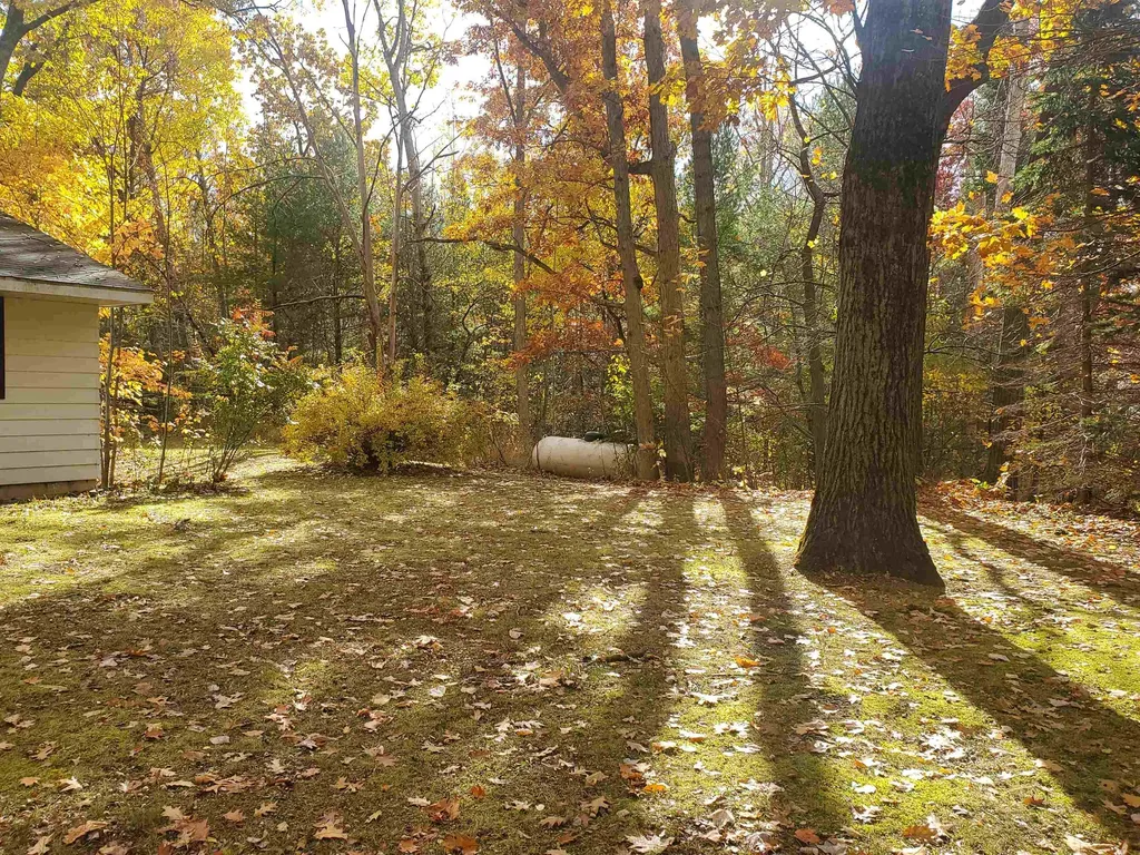 7323 Karlin Road Grant Township MI 49643