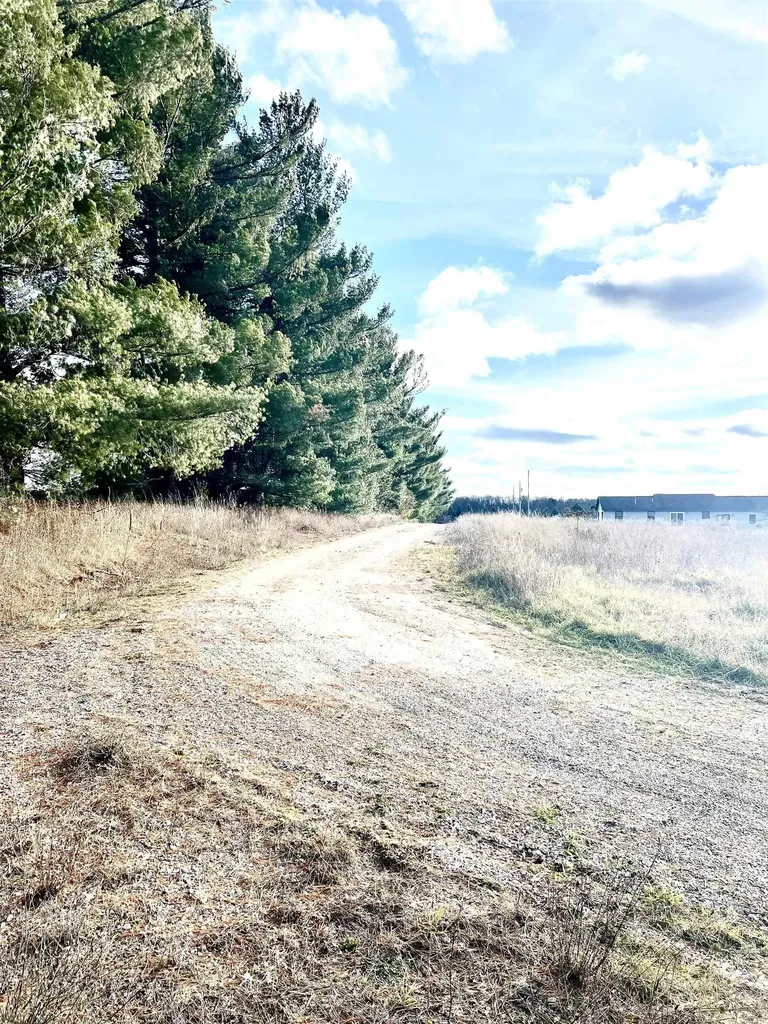 0 Sparling Road Paradise Township MI 49649