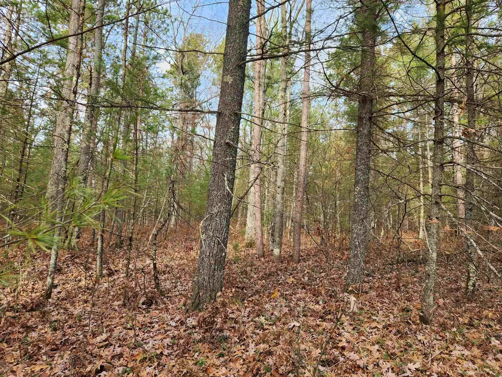Vl Hall Creek Road Grant Township MI 49643