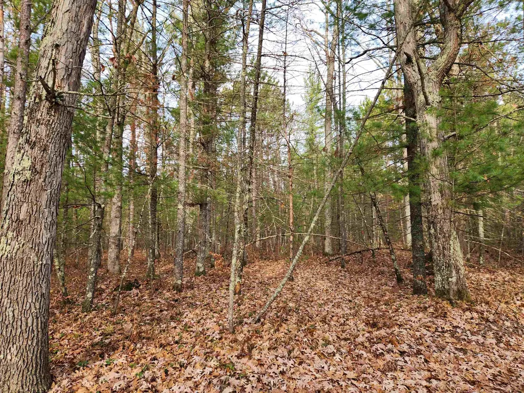 Vl Hall Creek Road Grant Township MI 49643