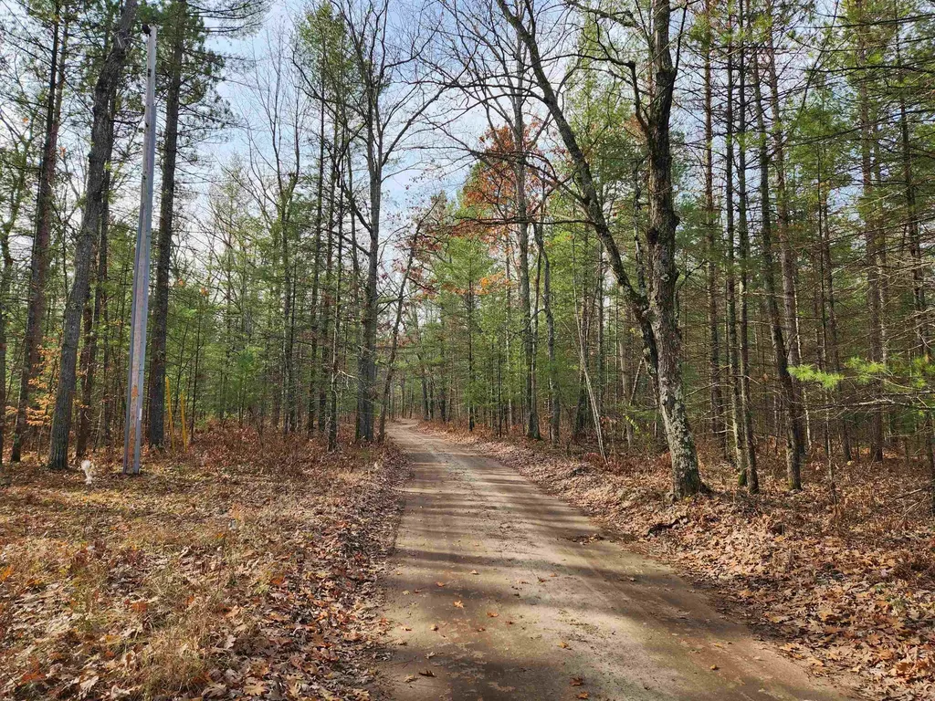 Vl Hall Creek Road Grant Township MI 49643