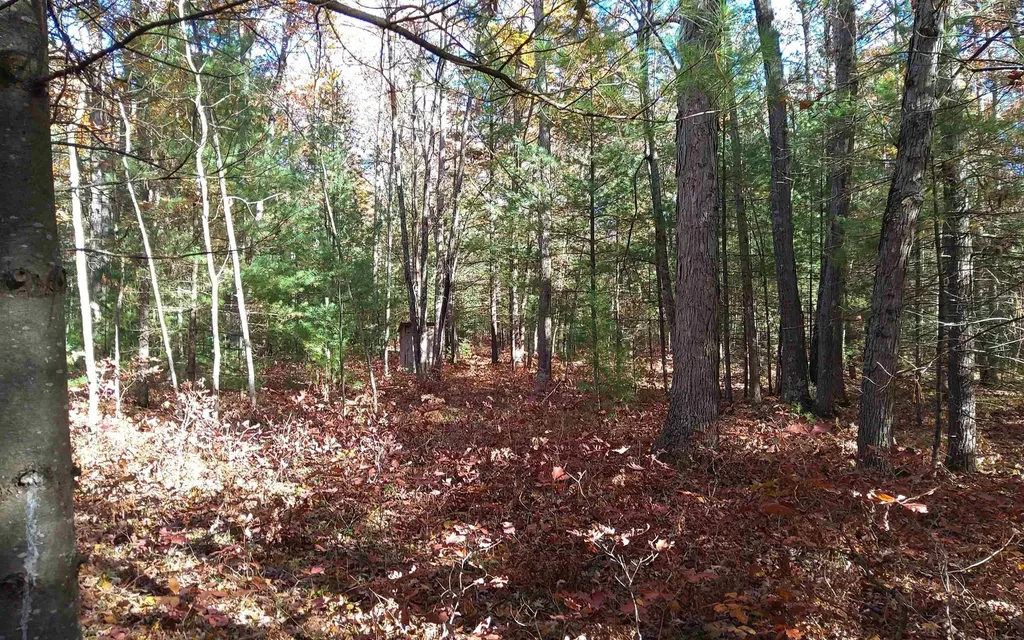 Vl Hall Creek Road Grant Township MI 49643