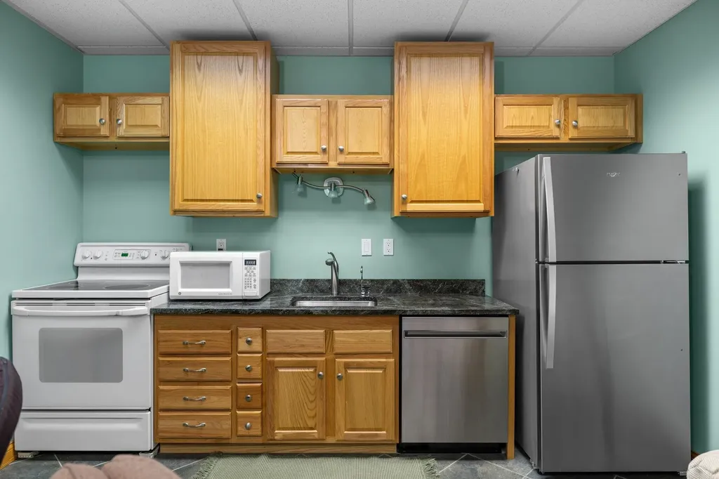 10161 E Pickwick Court Elmwood Charter Township MI 49684