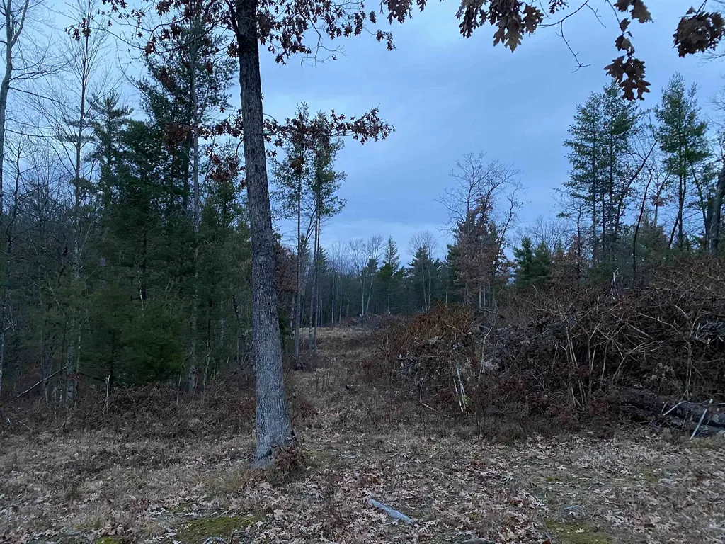 00 S Emma Avenue Pleasant Plains Township MI 49304