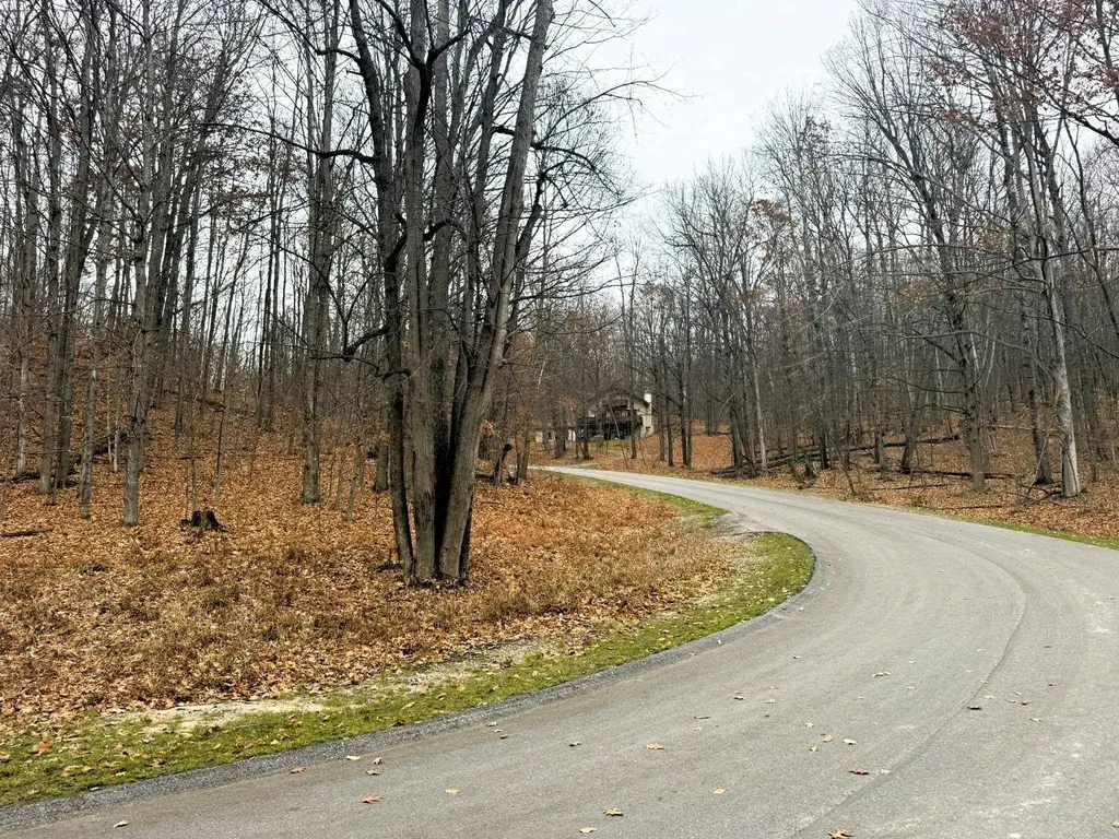 Lot 57 Valley Run Custer Township MI 49615