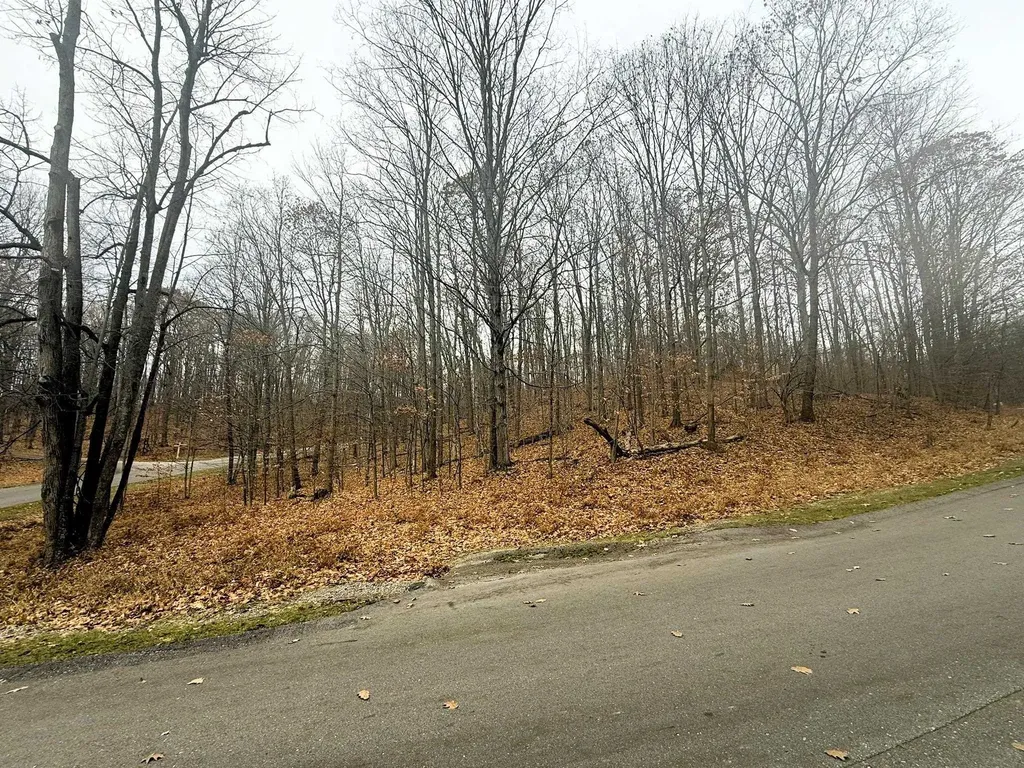 Lot 57 Valley Run Custer Township MI 49615