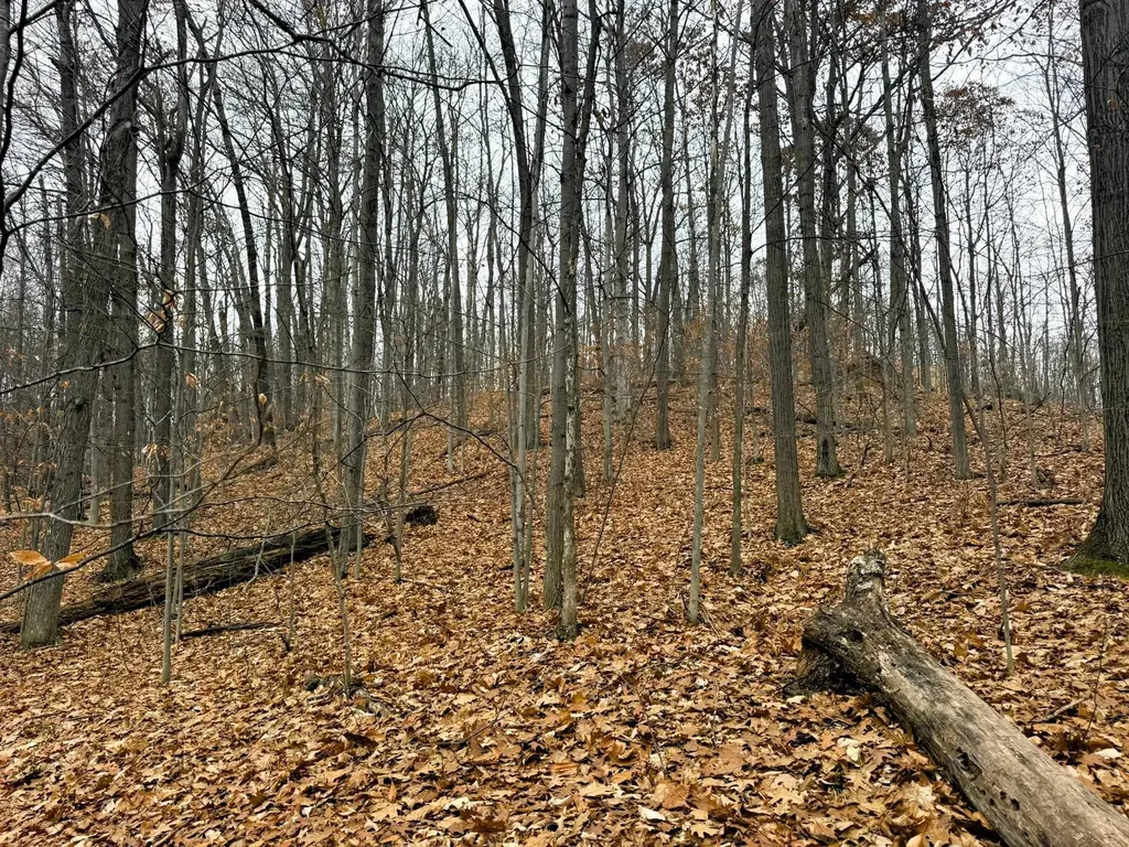 Lot 57 Valley Run Custer Township MI 49615