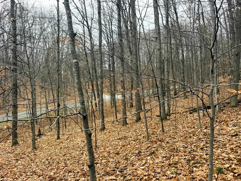 Lot 57 Valley Run Custer Township MI 49615