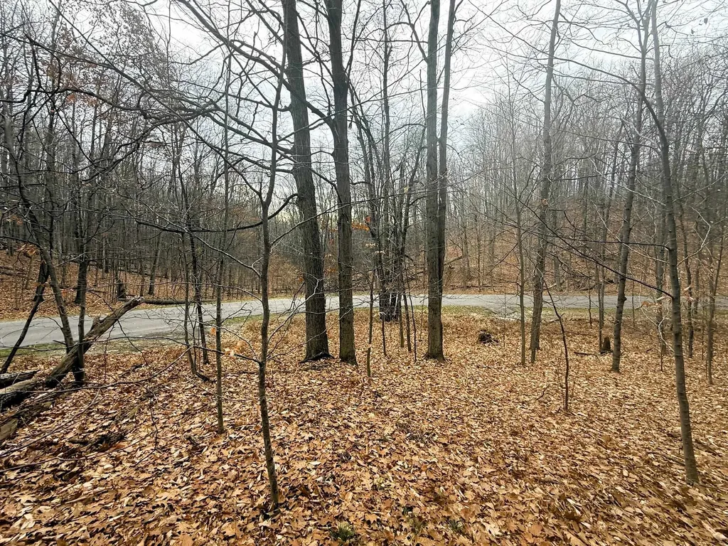 Lot 57 Valley Run Custer Township MI 49615