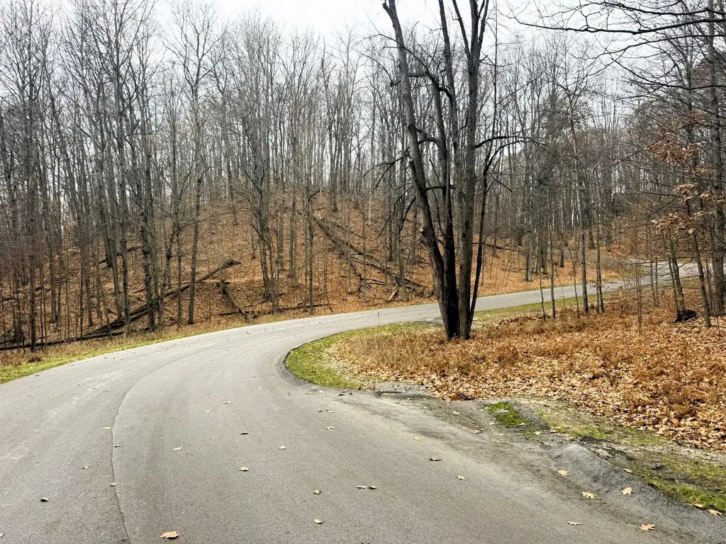 Lot 57 Valley Run Custer Township MI 49615