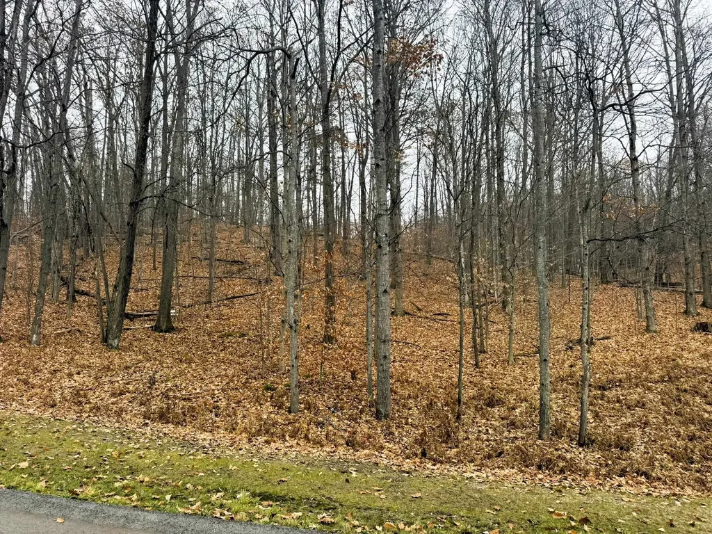 Lot 57 Valley Run Custer Township MI 49615