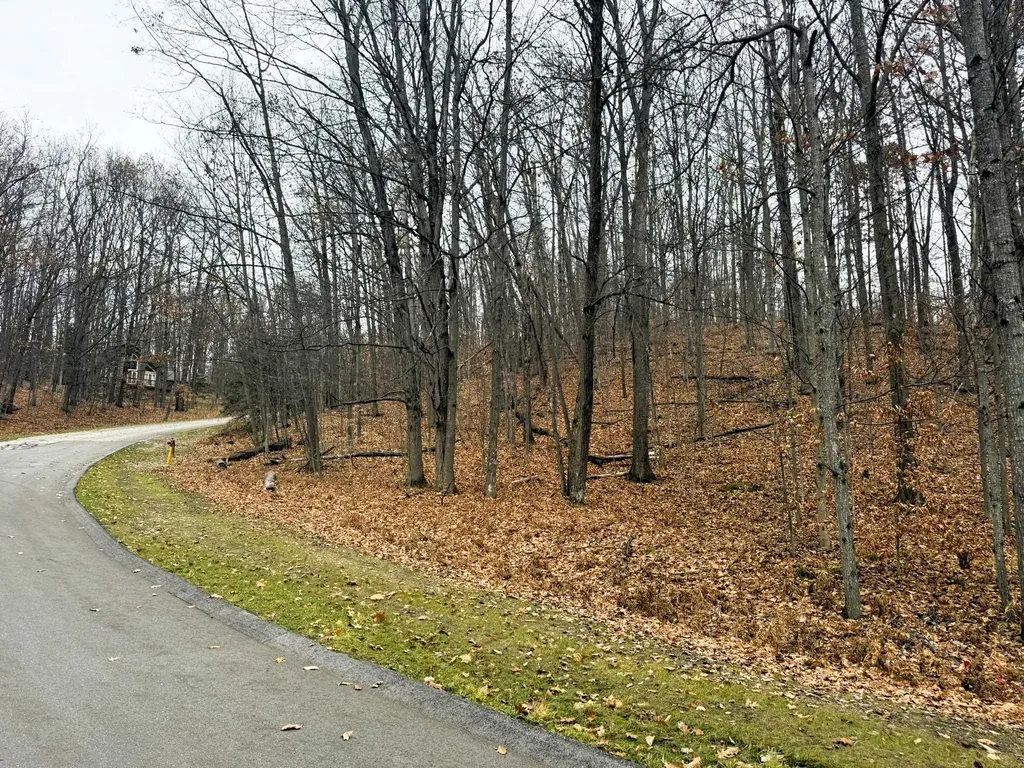 Lot 57 Valley Run Custer Township MI 49615