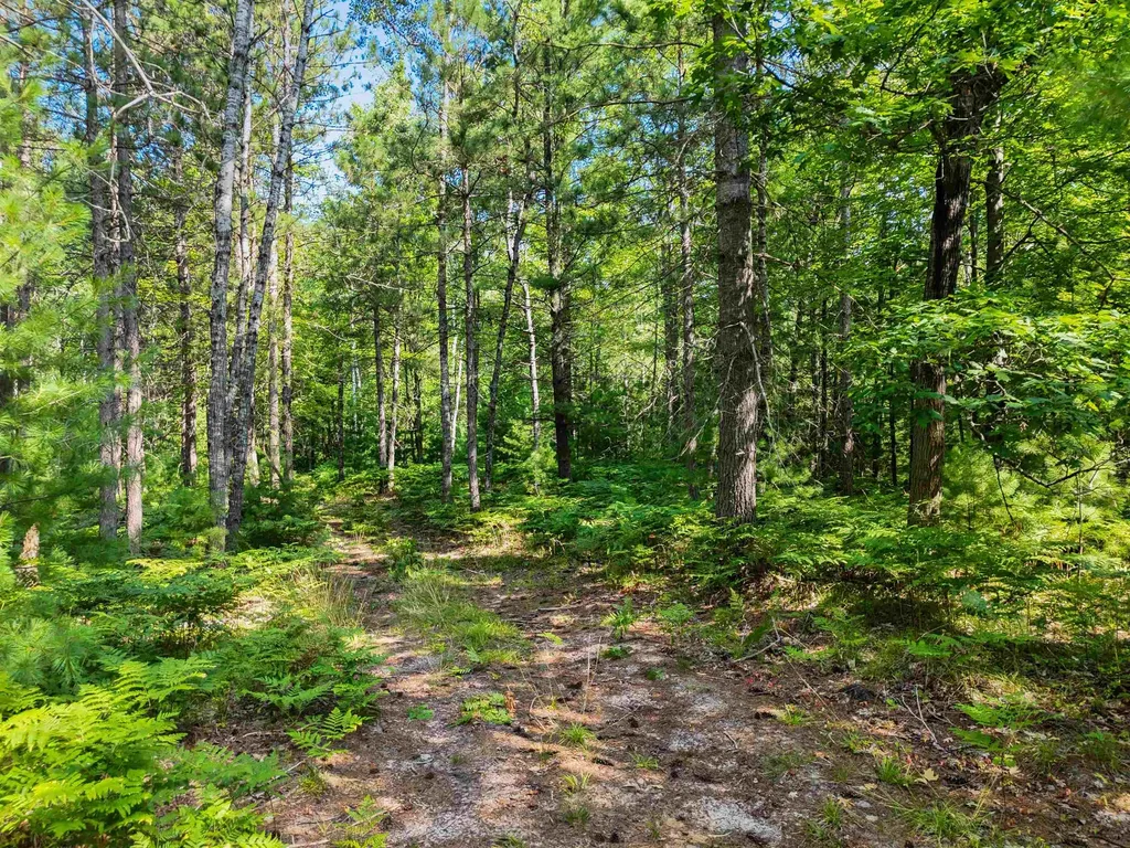 00 Arnold Road Bloomfield Township MI 49663