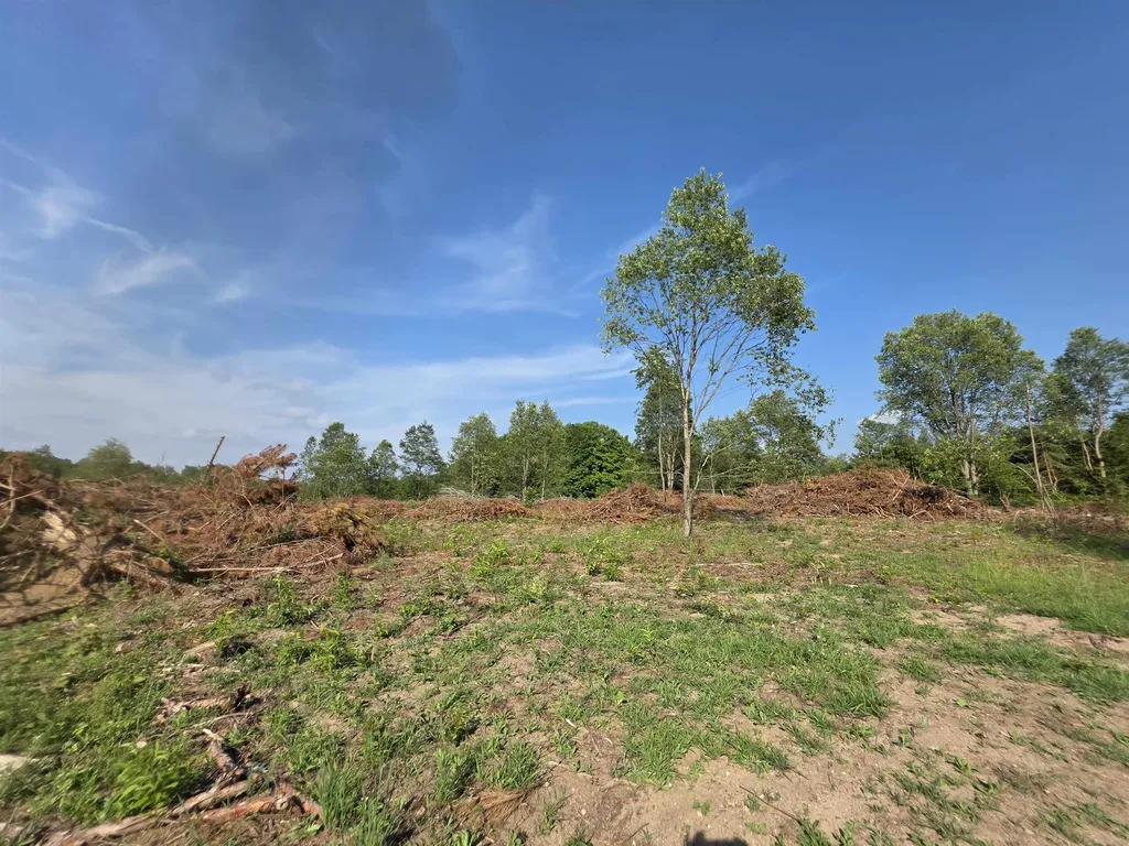 00 Arnold Road Bloomfield Township MI 49663