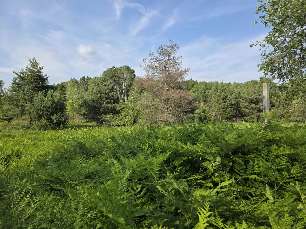 00 Arnold Road Bloomfield Township MI 49663