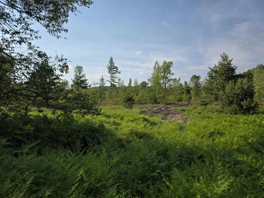00 Arnold Road Bloomfield Township MI 49663