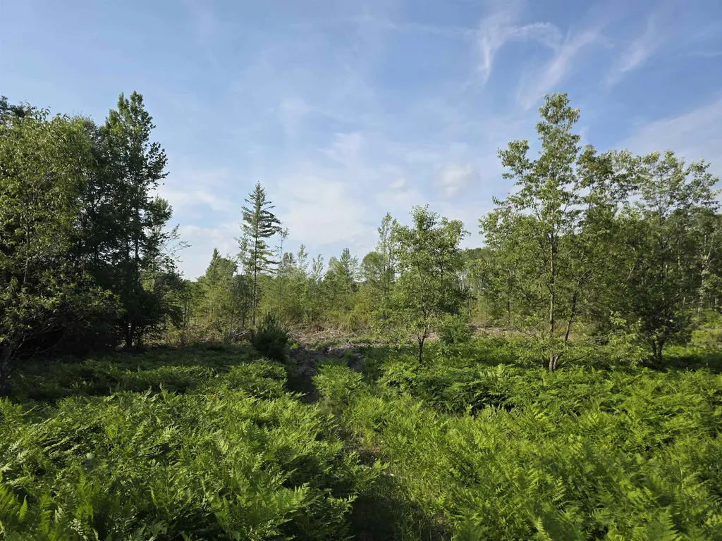 00 Arnold Road Bloomfield Township MI 49663