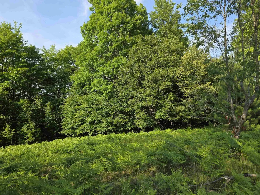 00 Arnold Road Bloomfield Township MI 49663