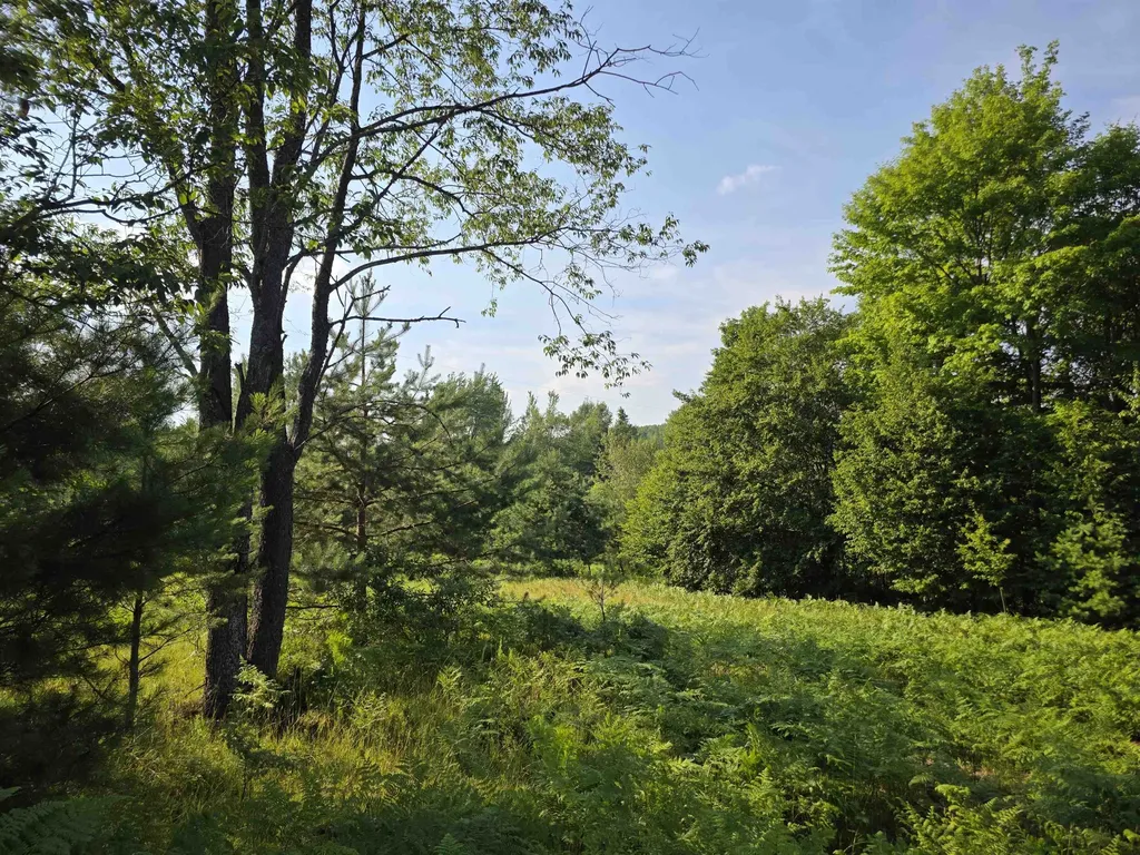 00 Arnold Road Bloomfield Township MI 49663