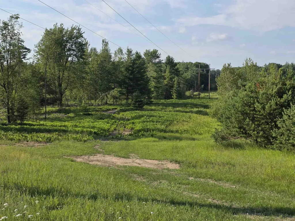 00 Arnold Road Bloomfield Township MI 49663