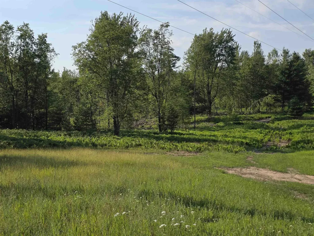 00 Arnold Road Bloomfield Township MI 49663