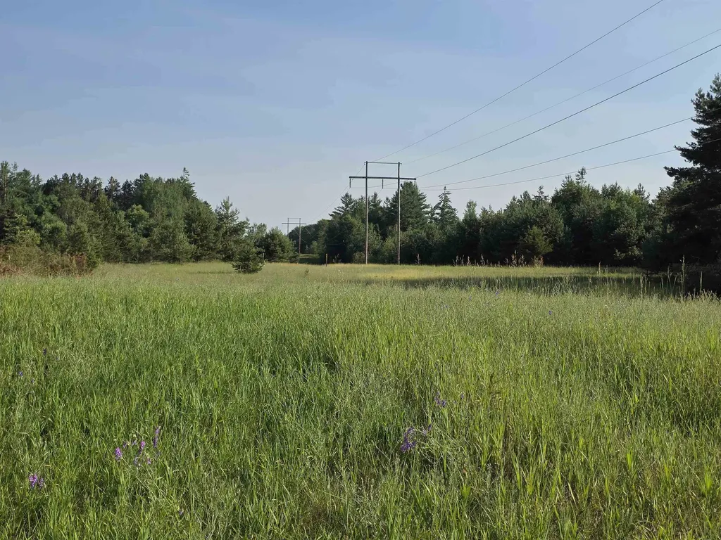 00 Arnold Road Bloomfield Township MI 49663