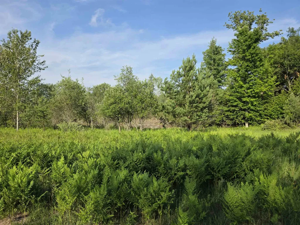 00 Arnold Road Bloomfield Township MI 49663