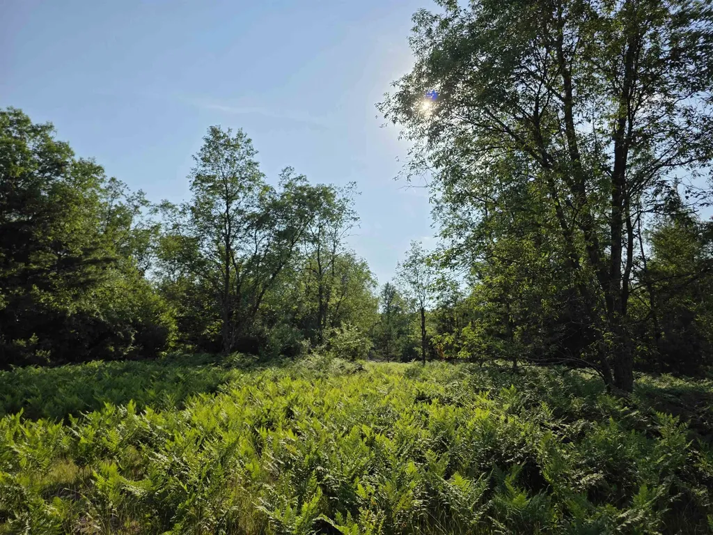 00 Arnold Road Bloomfield Township MI 49663