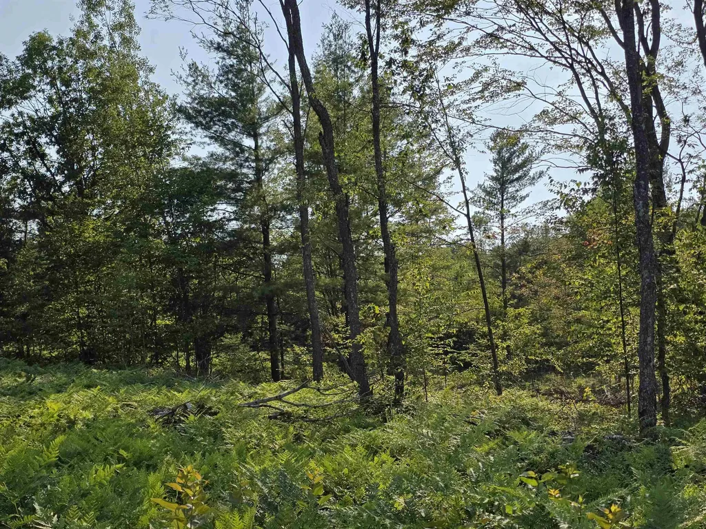 00 Arnold Road Bloomfield Township MI 49663