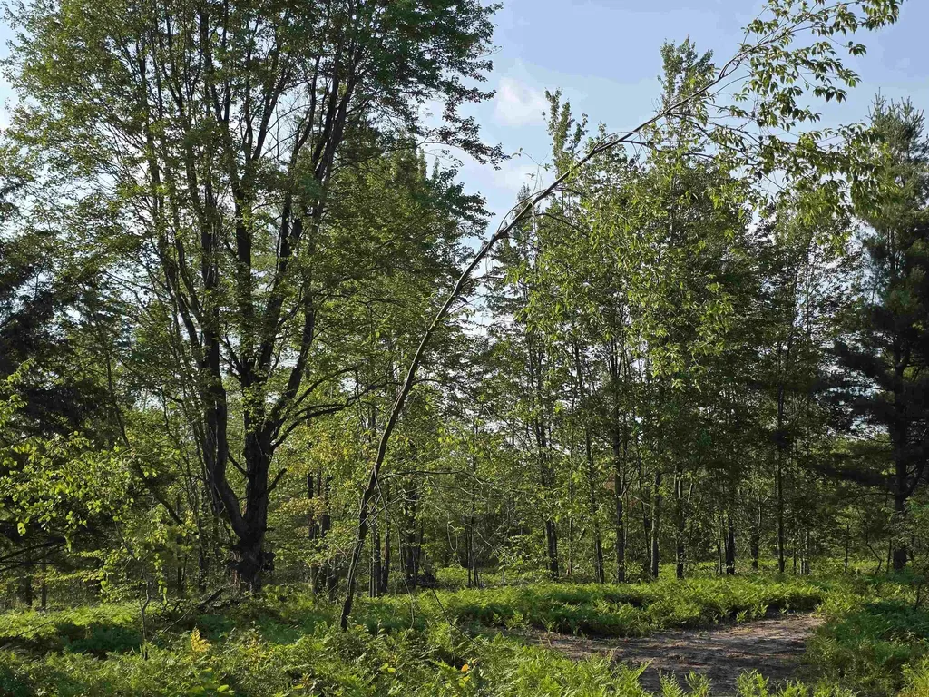 00 Arnold Road Bloomfield Township MI 49663