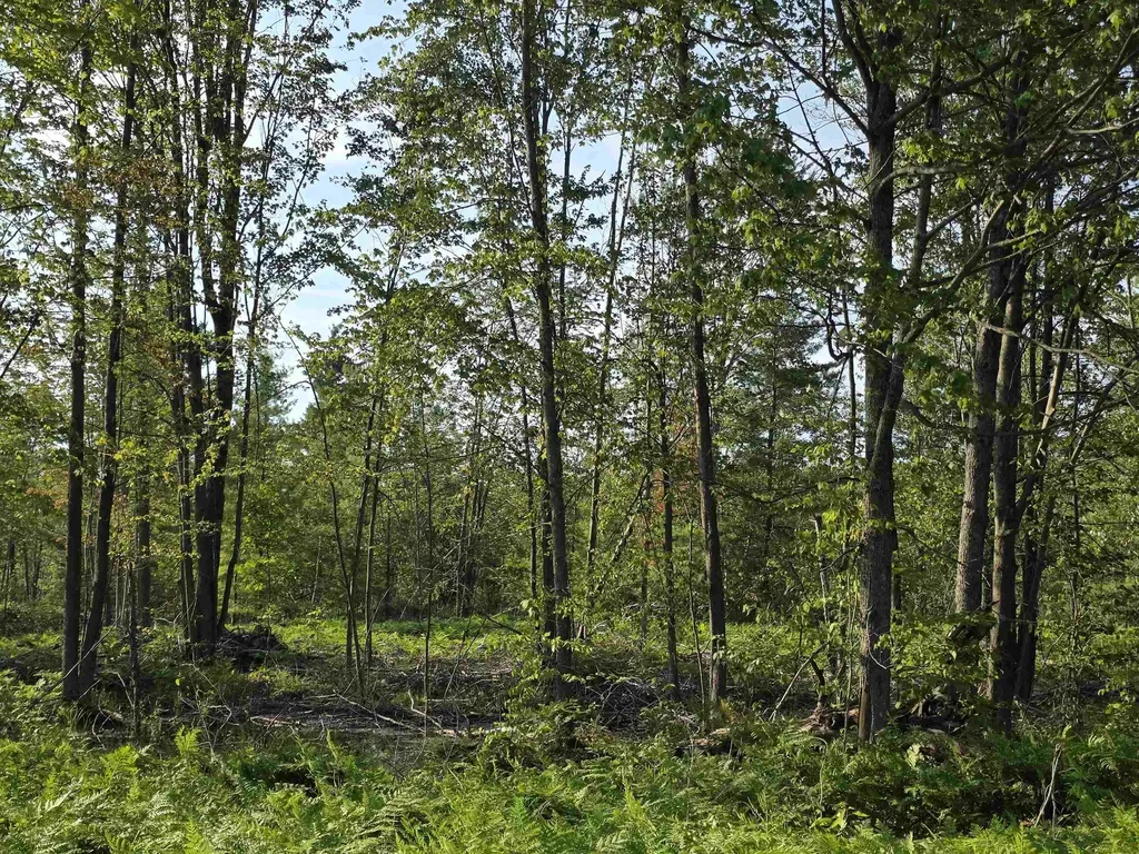 00 Arnold Road Bloomfield Township MI 49663
