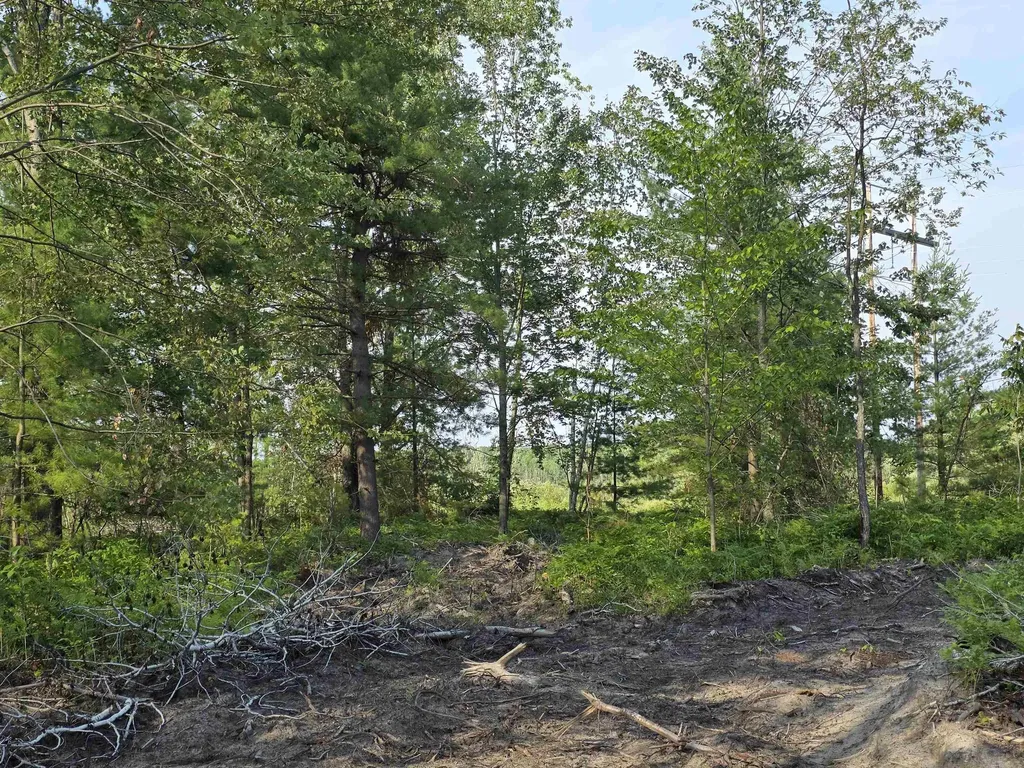 00 Arnold Road Bloomfield Township MI 49663