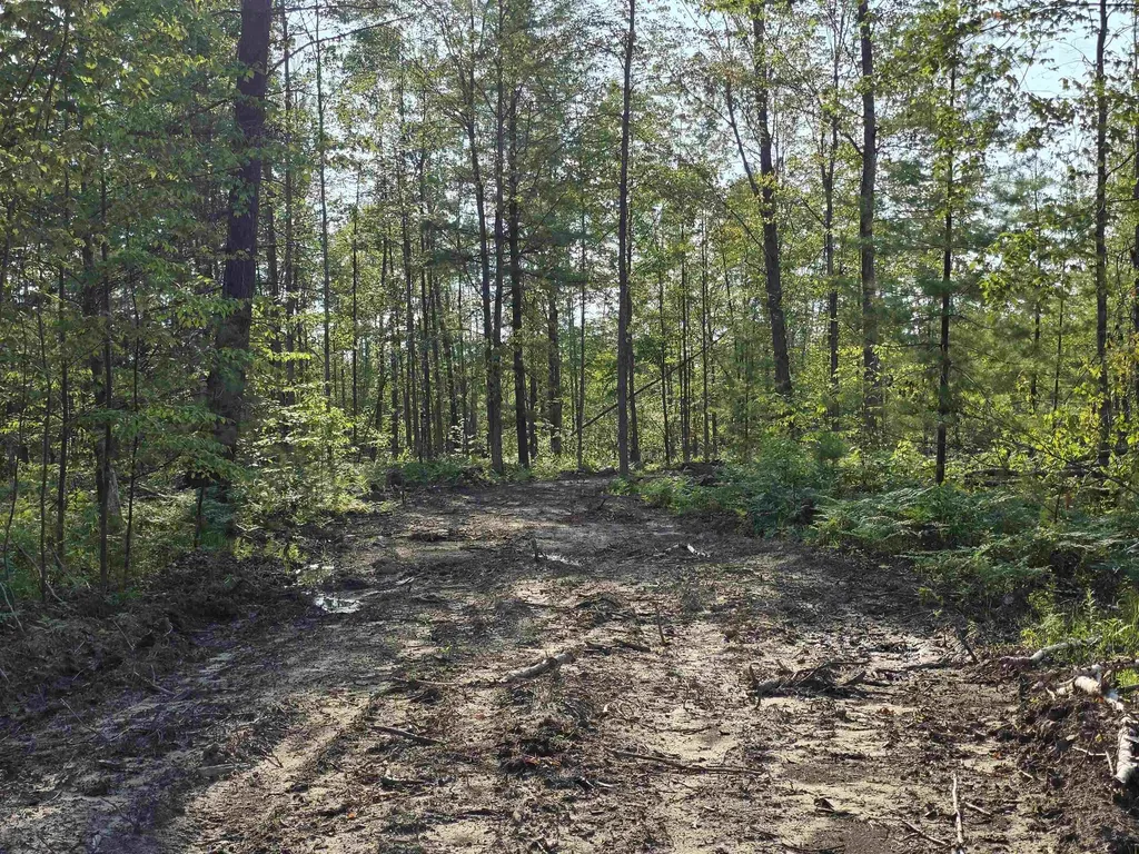 00 Arnold Road Bloomfield Township MI 49663