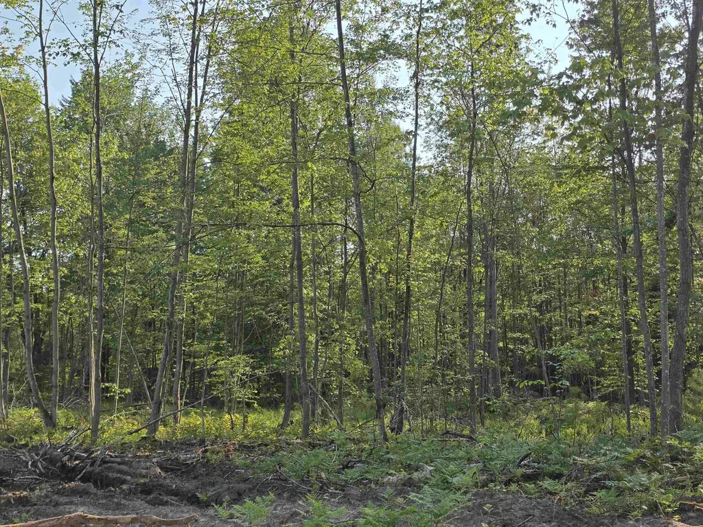 00 Arnold Road Bloomfield Township MI 49663