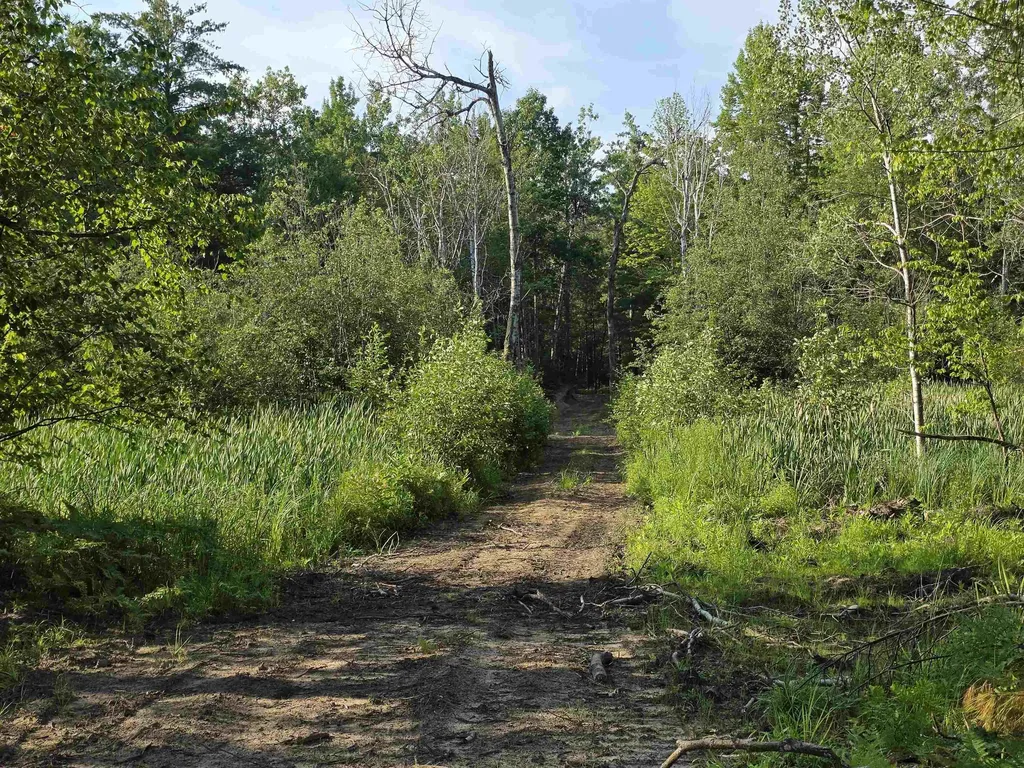 00 Arnold Road Bloomfield Township MI 49663