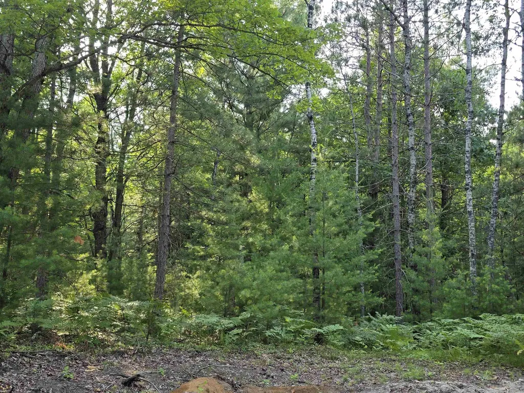 00 Arnold Road Bloomfield Township MI 49663