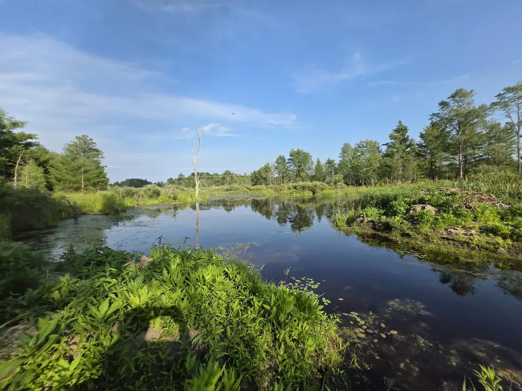 00 Arnold Road Bloomfield Township MI 49663