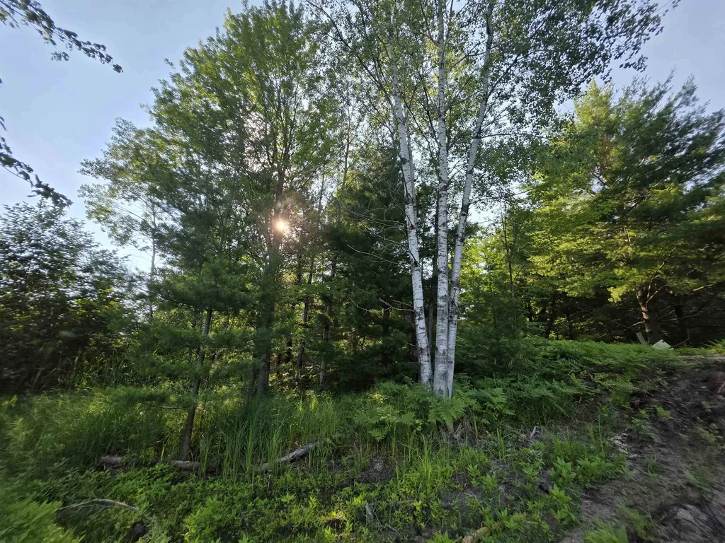 00 Arnold Road Bloomfield Township MI 49663