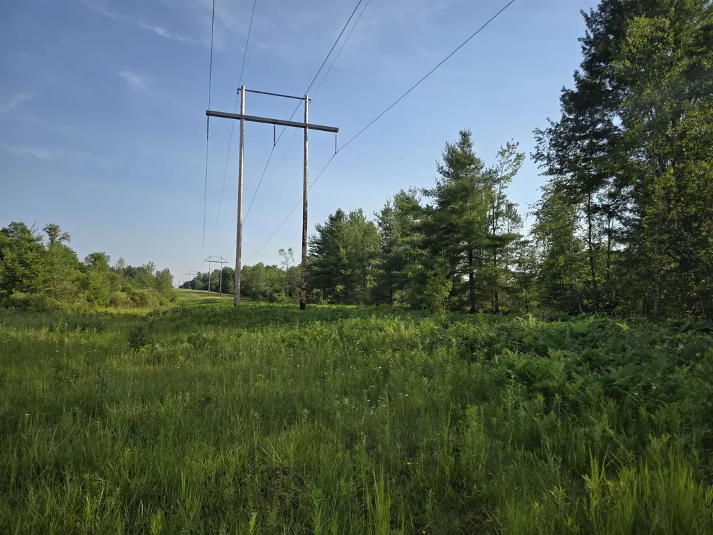 00 Arnold Road Bloomfield Township MI 49663