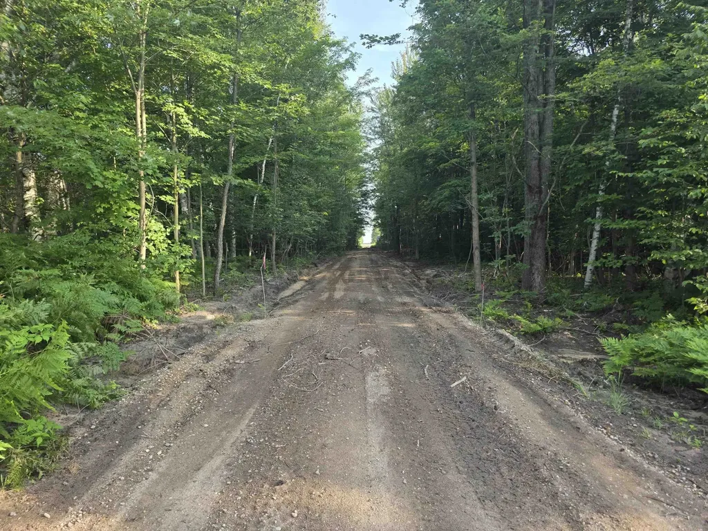 00 Arnold Road Bloomfield Township MI 49663