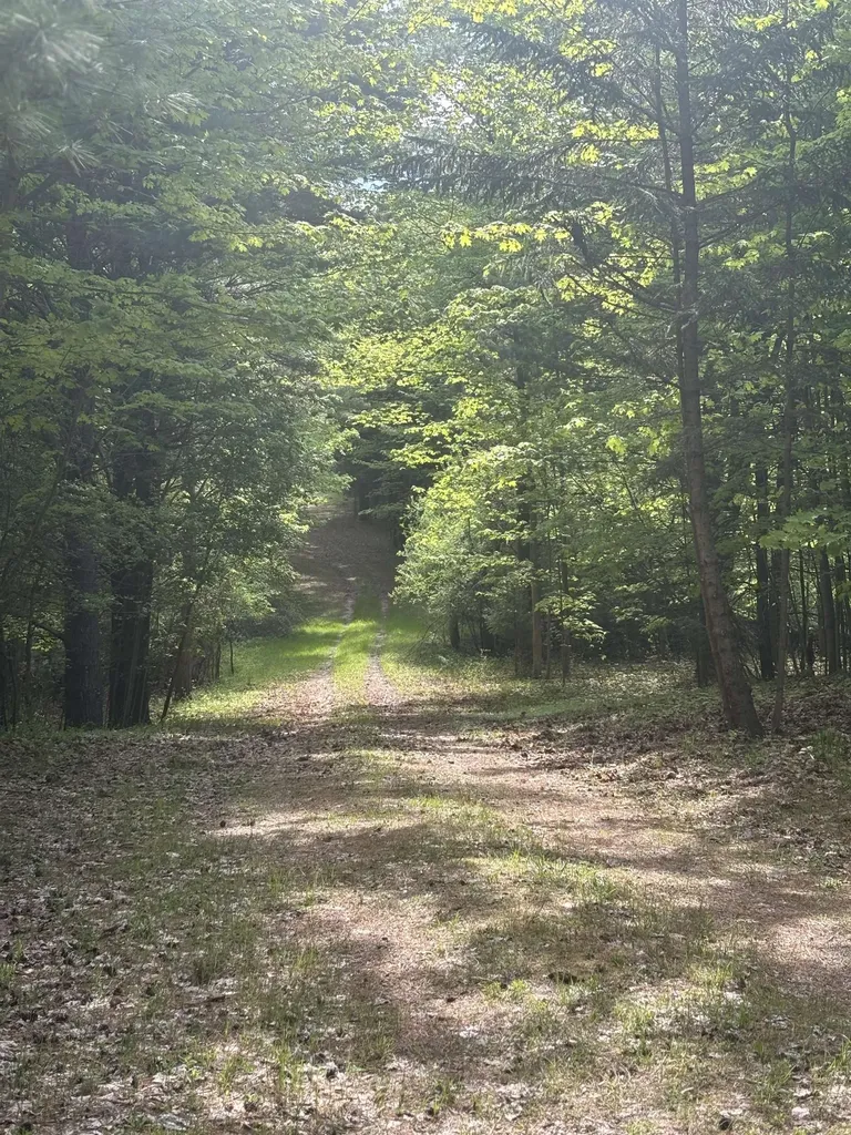 0000 Us-31 Torch Lake Township MI 49648