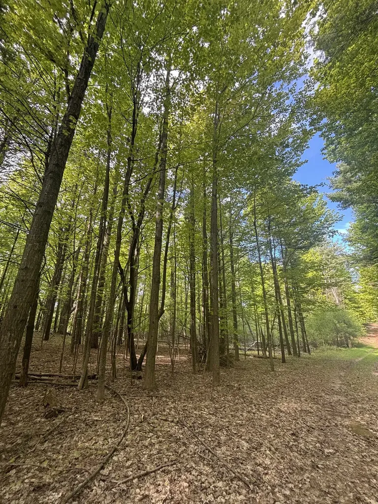 0000 Us-31 Torch Lake Township MI 49648