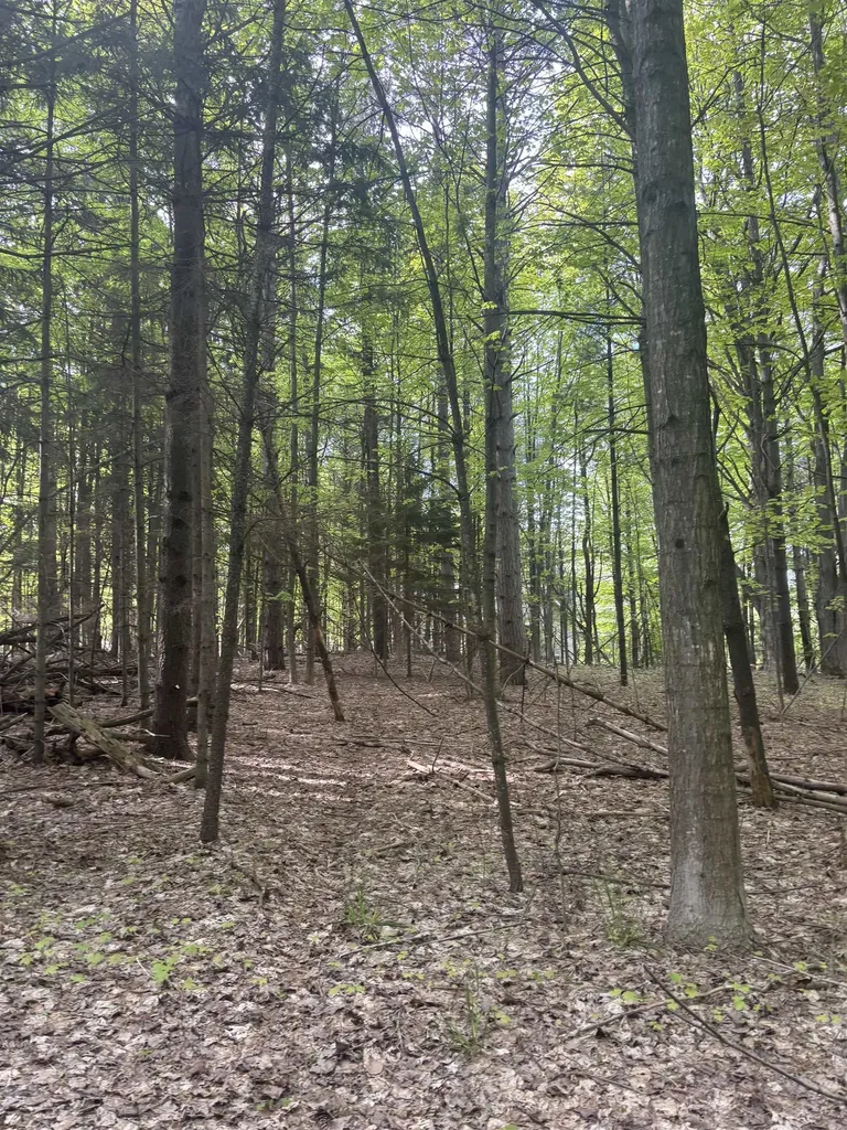 0000 Us-31 Torch Lake Township MI 49648