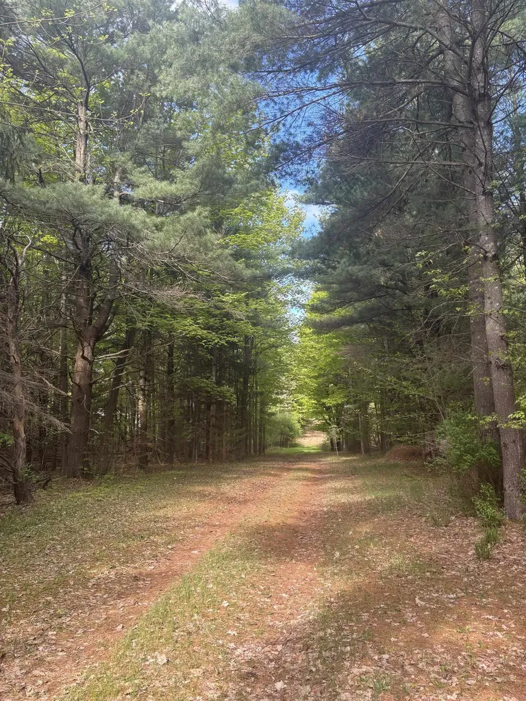 0000 Us-31 Torch Lake Township MI 49648