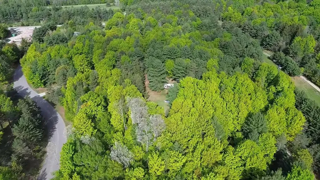 0000 Us-31 Torch Lake Township MI 49648