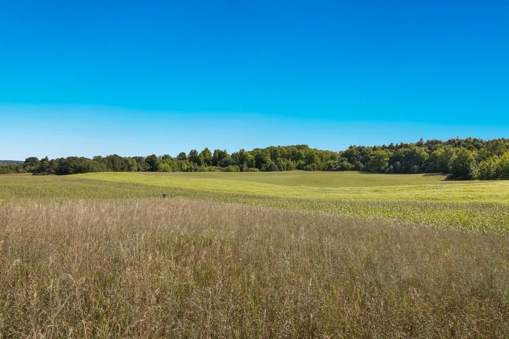 Parcel B E Duck Lake Road Suttons Bay Township MI 49682