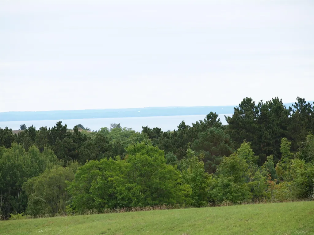 Parcel B E Duck Lake Road Suttons Bay Township MI 49682