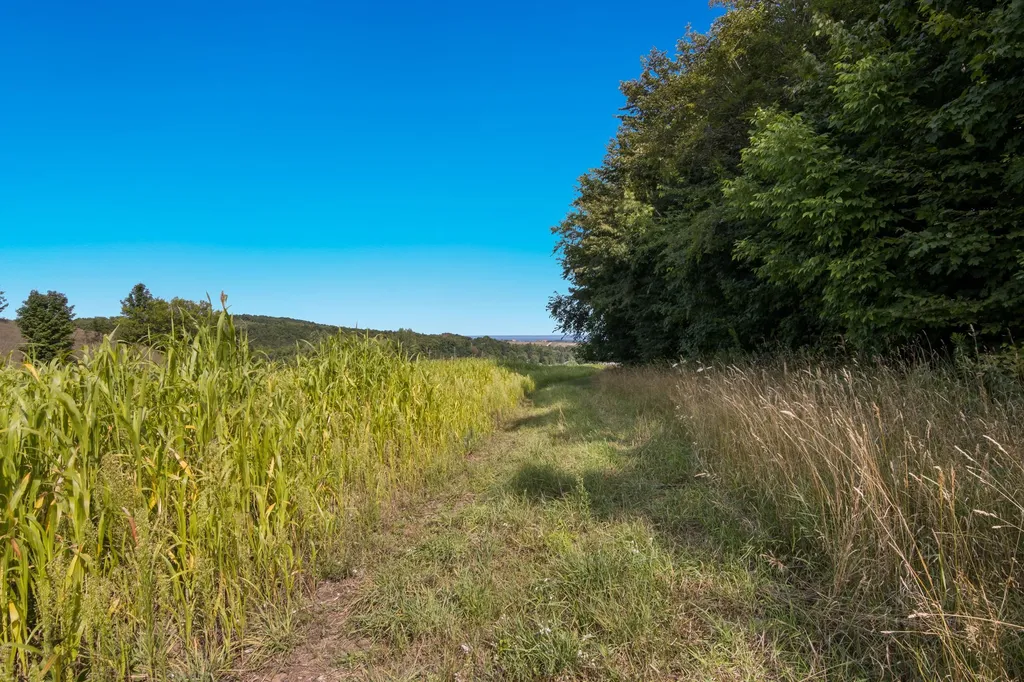 Parcel B E Duck Lake Road Suttons Bay Township MI 49682